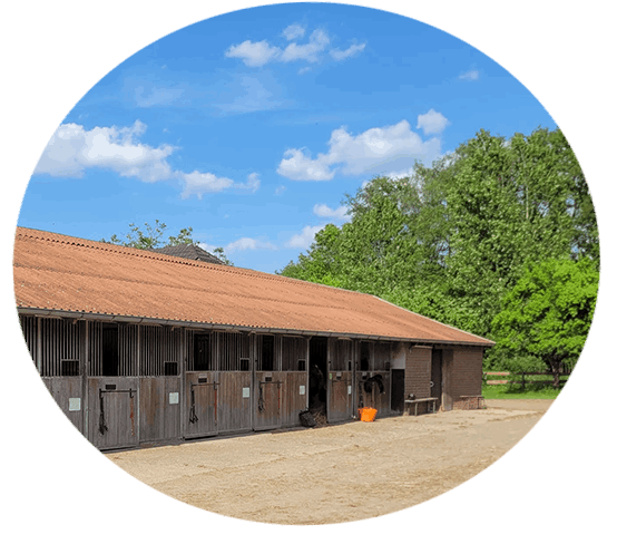 Außenboxen Sportstall Scholten
