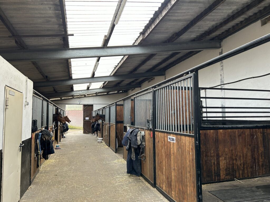 Pferdestall Boxen